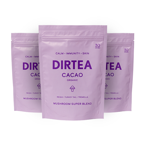 Dirtea Mushroom Cacao Superblend