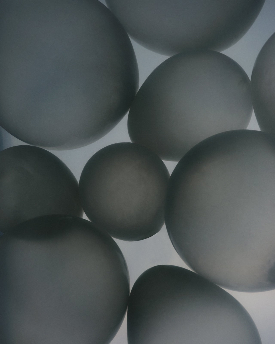 Micronutrients: The Invisible Building Blocks of Healthy Ageing